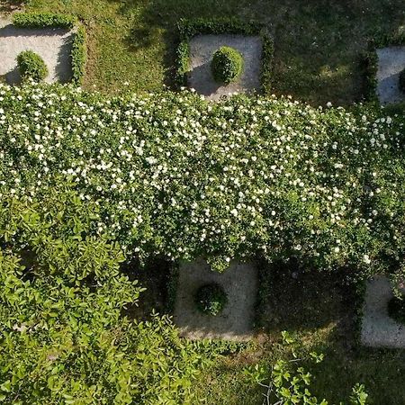 Luberon S Hidden Gem Villa Oppède Kültér fotó